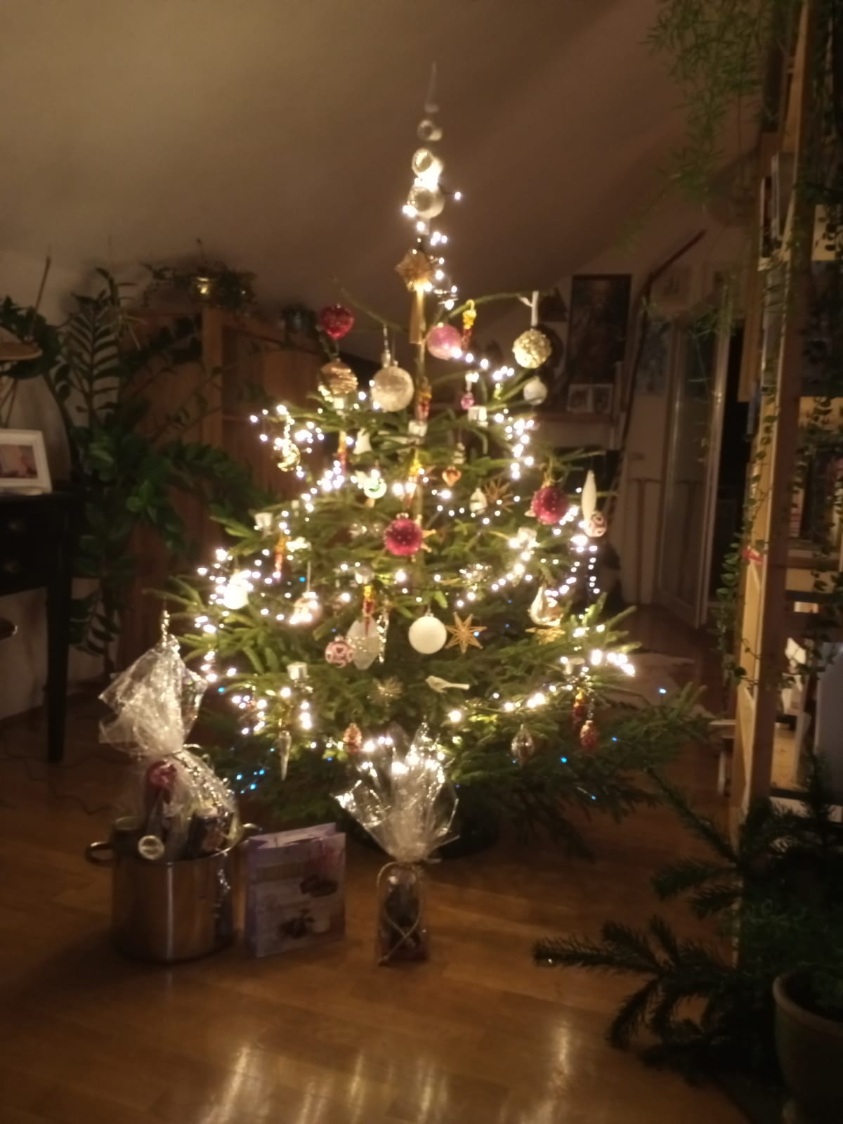 Alle Jahre wieder… – Österreichischer Druidenorden